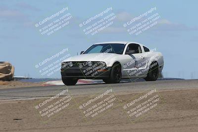 media/Oct-04-2025-OnGrid (Sat) [[44bd565ffa]]/Blue Group/Grapevine/